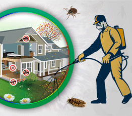 pest control Southend